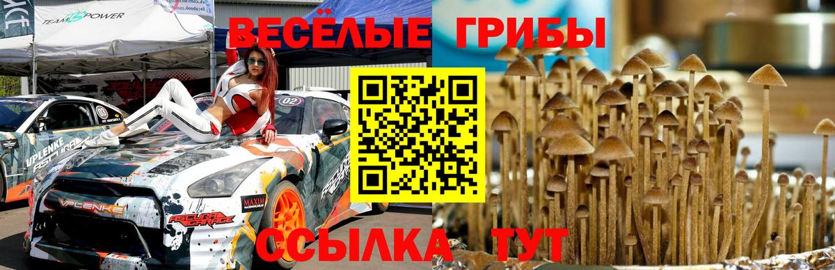Псилоцибиновые грибы Magic Shrooms Донской